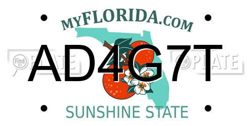 AD4G7T Florida License Plate
