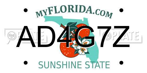 AD4G7Z Florida License Plate