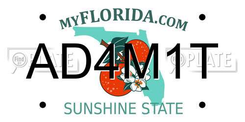 AD4M1T Florida License Plate
