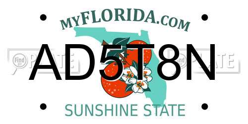 AD5T8N Florida License Plate