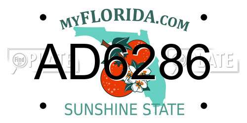 AD6286 Florida License Plate