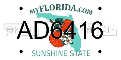 AD6416 Florida License Plate