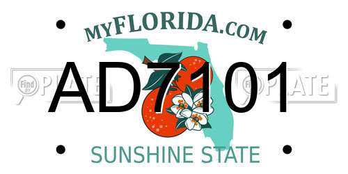 AD7101 Florida License Plate