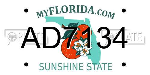 AD7134 Florida License Plate