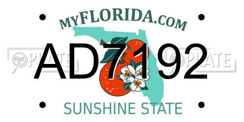 AD7192 Florida License Plate