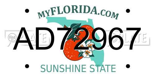 AD72967 Florida License Plate