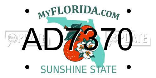 AD7370 Florida License Plate