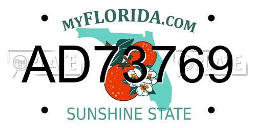 AD73769 Florida License Plate