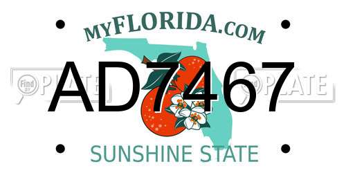 AD7467 Florida License Plate
