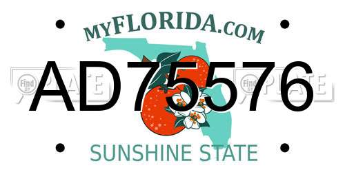 AD75576 Florida License Plate
