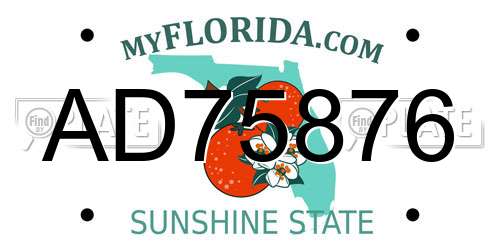 AD75876 Florida License Plate