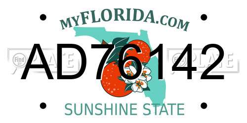 AD76142 Florida License Plate