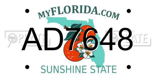 AD7648 Florida License Plate