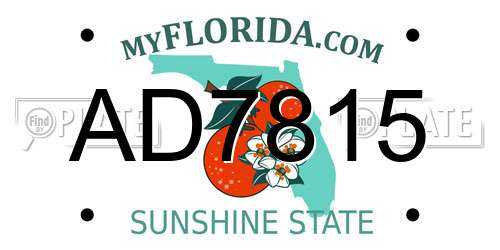 AD7815 Florida License Plate