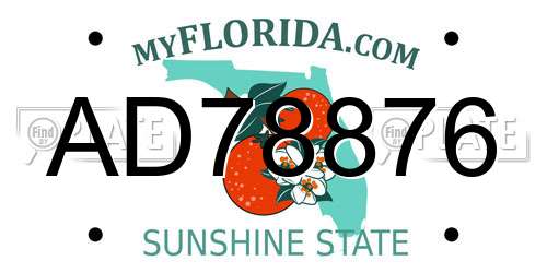 AD78876 Florida License Plate