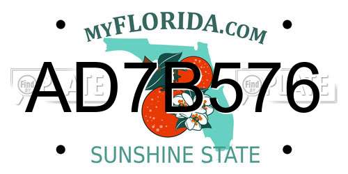 AD7B576 Florida License Plate
