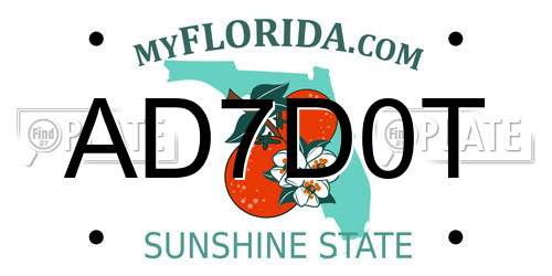 AD7D0T Florida License Plate