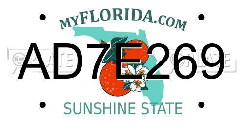 AD7E269 Florida License Plate