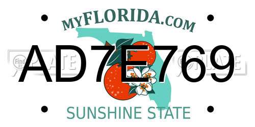 AD7E769 Florida License Plate