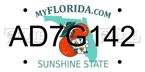 AD7G142 Florida License Plate