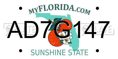 AD7G147 Florida License Plate