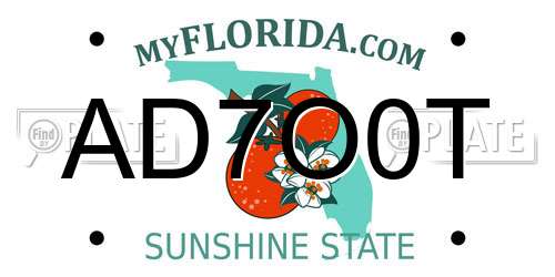 AD7O0T Florida License Plate