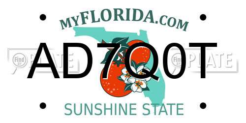 AD7Q0T Florida License Plate