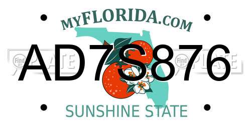 AD7S876 Florida License Plate
