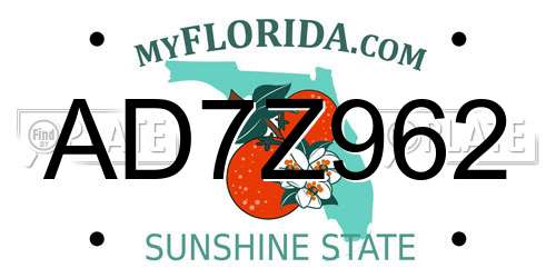 AD7Z962 Florida License Plate