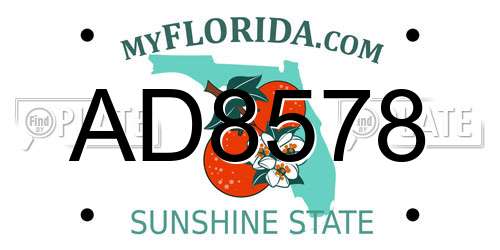 AD8578 Florida License Plate