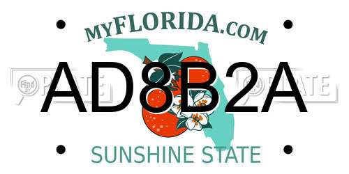 AD8B2A Florida License Plate