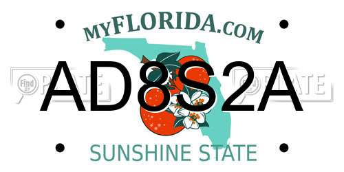 AD8S2A Florida License Plate