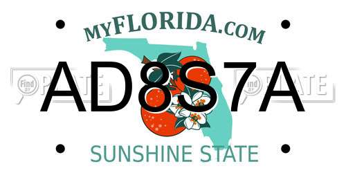 AD8S7A Florida License Plate