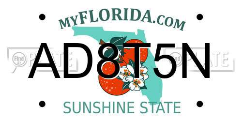 AD8T5N Florida License Plate
