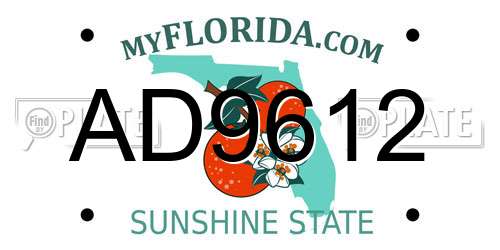 AD9612 Florida License Plate