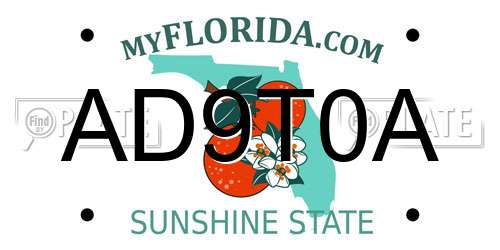AD9T0A Florida License Plate
