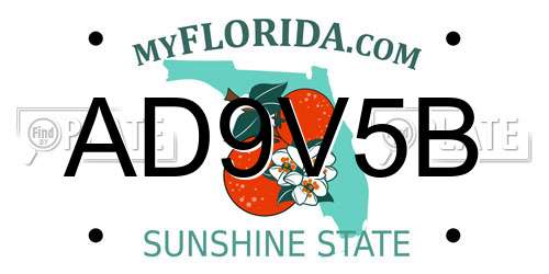 AD9V5B Florida License Plate