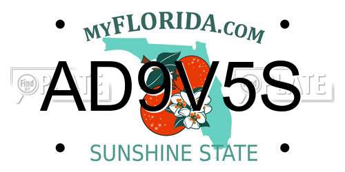 AD9V5S Florida License Plate