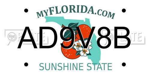 AD9V8B Florida License Plate