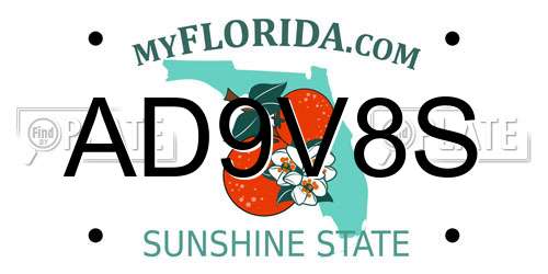 AD9V8S Florida License Plate