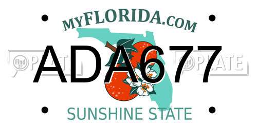 ADA677 Florida License Plate