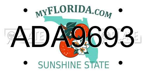 ADA9693 Florida License Plate