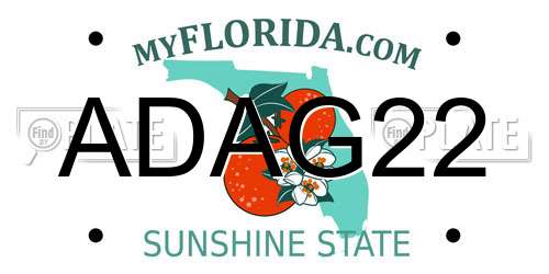 ADAG22 Florida License Plate