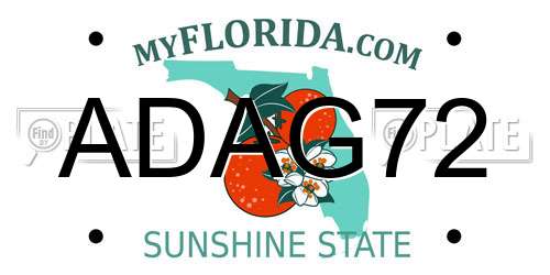 ADAG72 Florida License Plate