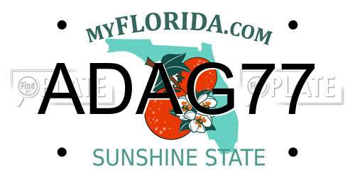 ADAG77 Florida License Plate