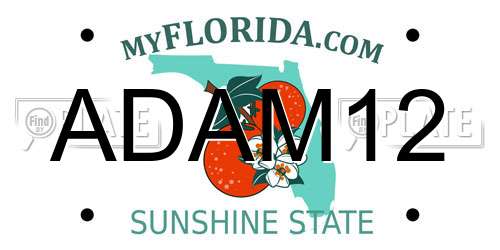 ADAM12 Florida License Plate