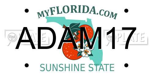 ADAM17 Florida License Plate