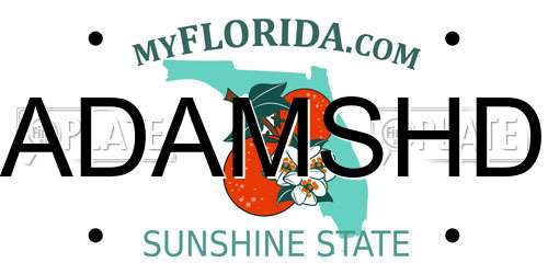 ADAMSHD Florida License Plate