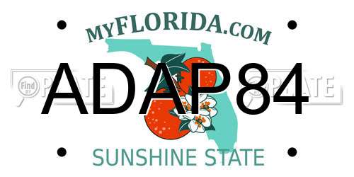 ADAP84 Florida License Plate