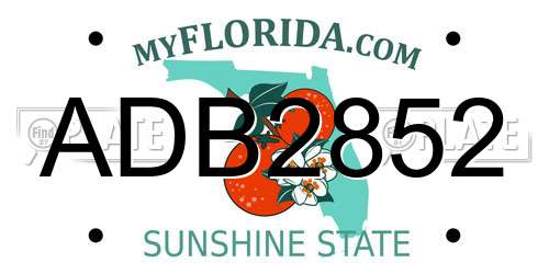 ADB2852 Florida License Plate